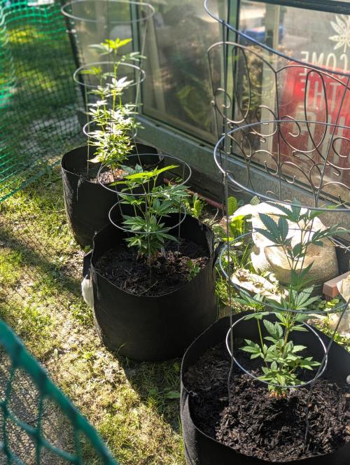 outdoor 2026. Week 15