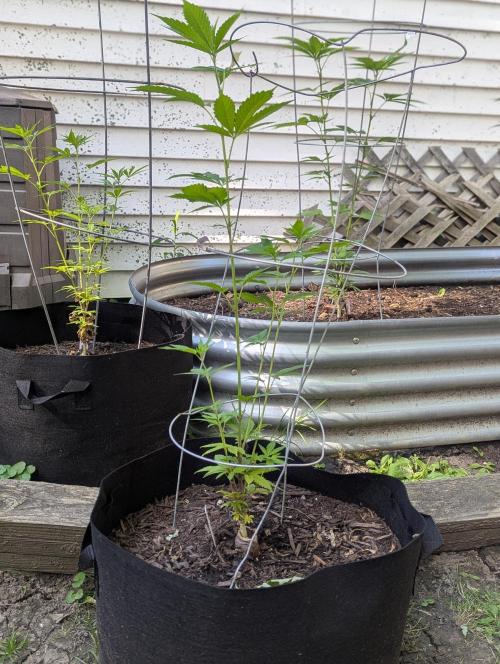 outdoor 2026. Week 17