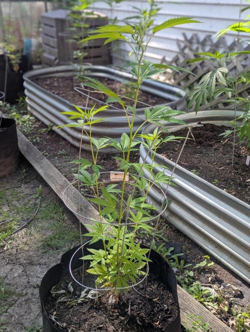 outdoor 2026. Week 17