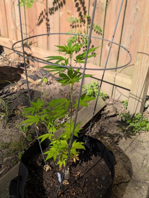 outdoor 2026. Week 17