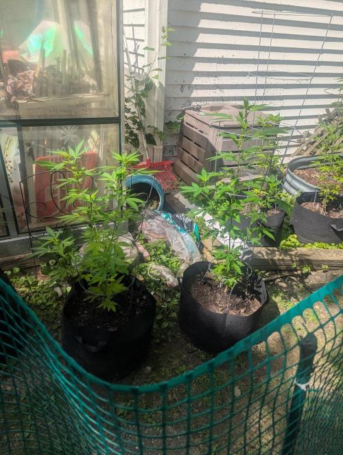 outdoor 2026. Week 19