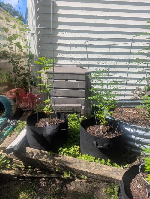 outdoor 2026. Week 19