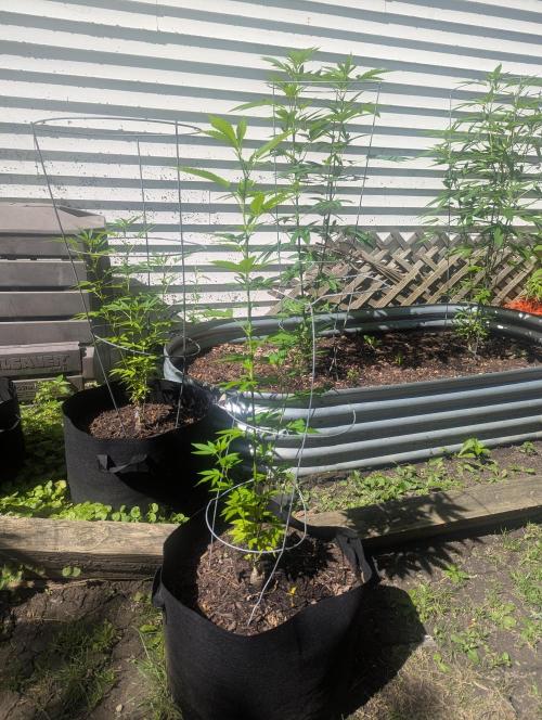 outdoor 2026. Week 19