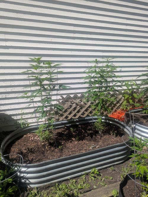 outdoor 2026. Week 19