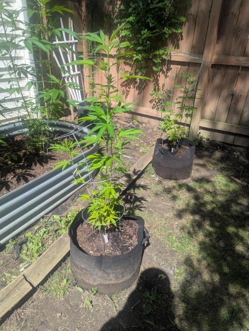 outdoor 2026. Week 19