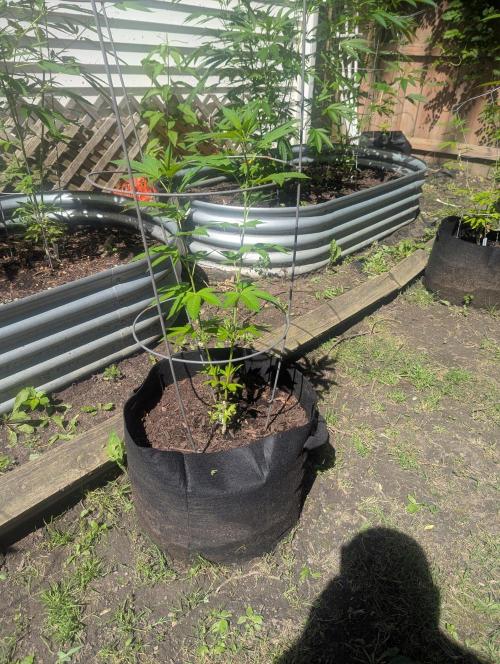outdoor 2026. Week 19