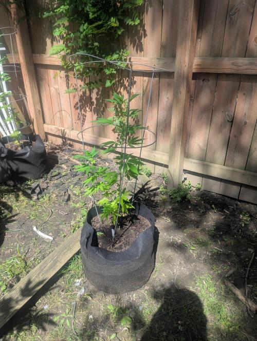 outdoor 2026. Week 19