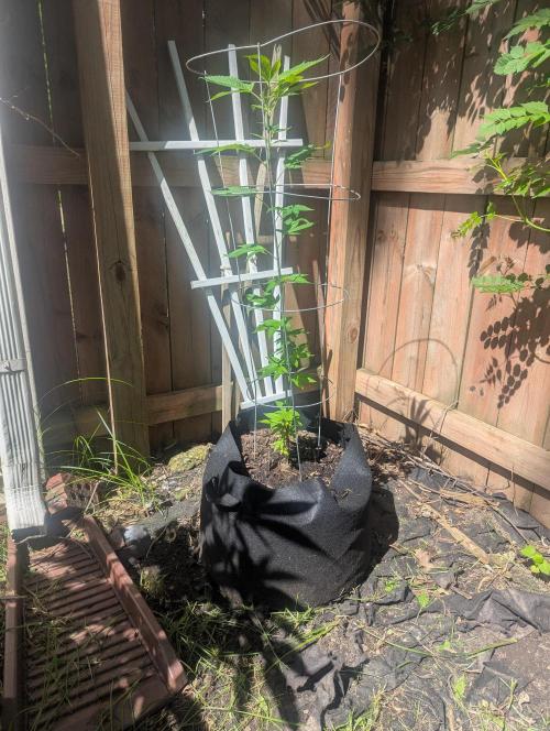 outdoor 2026. Week 19