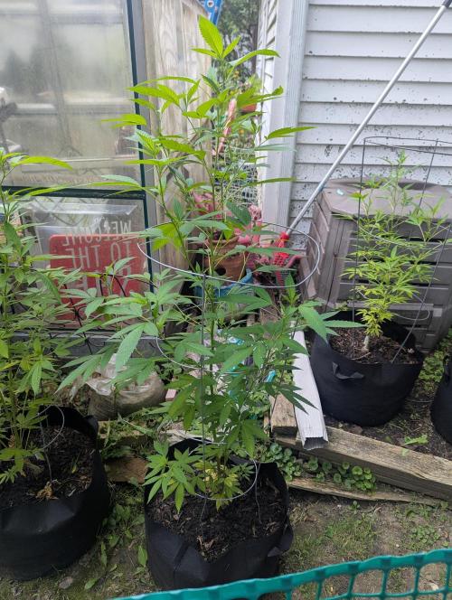 outdoor 2026. Week 21