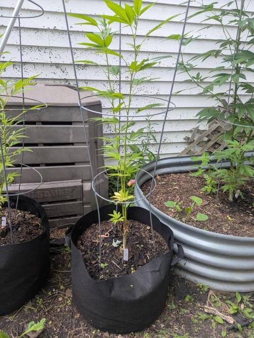 outdoor 2026. Week 21