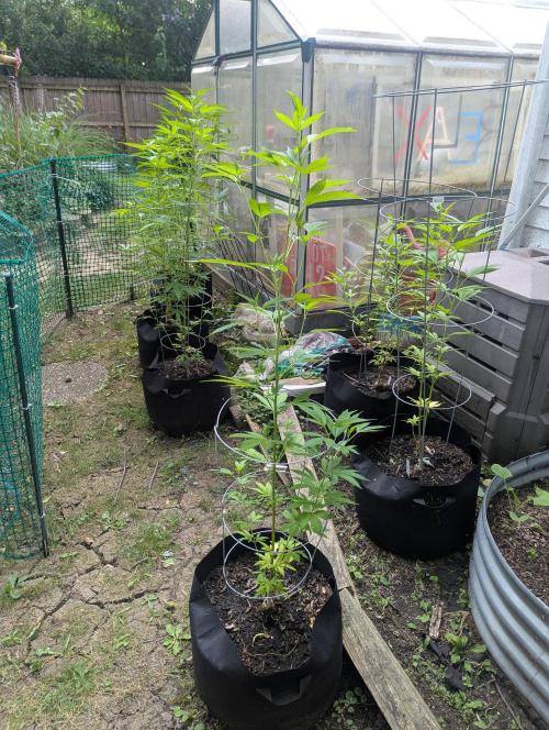 outdoor 2026. Week 21