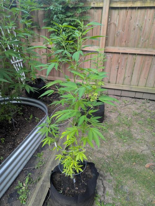 outdoor 2026. Week 21