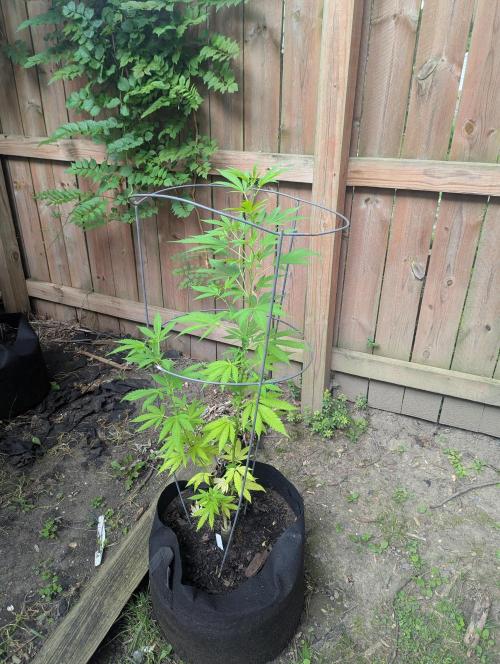outdoor 2026. Week 21