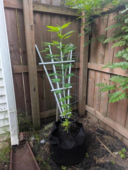 outdoor 2026. Week 21