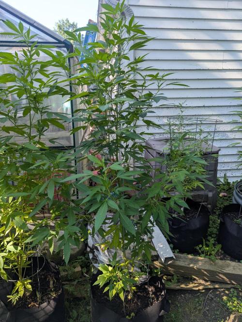 outdoor 2026. Week 2