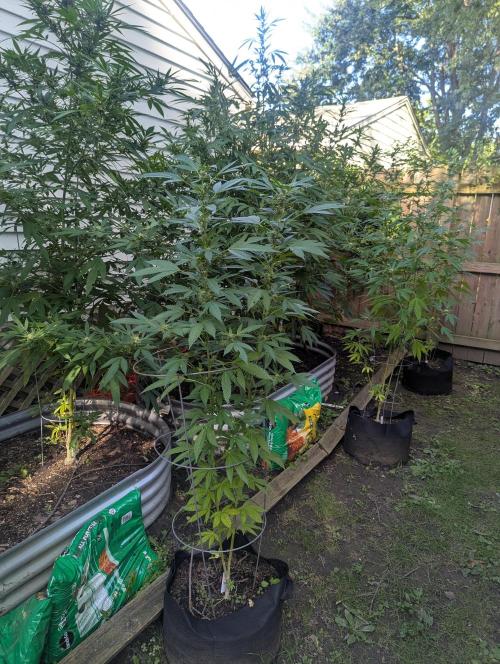 outdoor 2026. Week 4