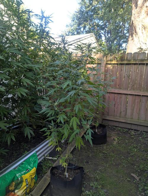 outdoor 2026. Week 4