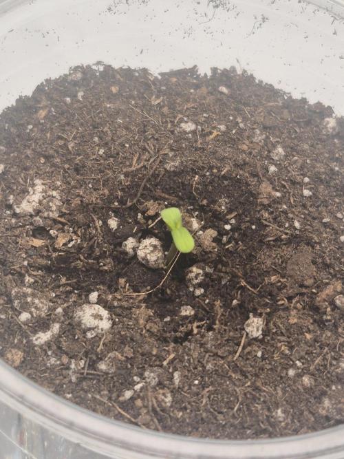 Round 3. Week 1