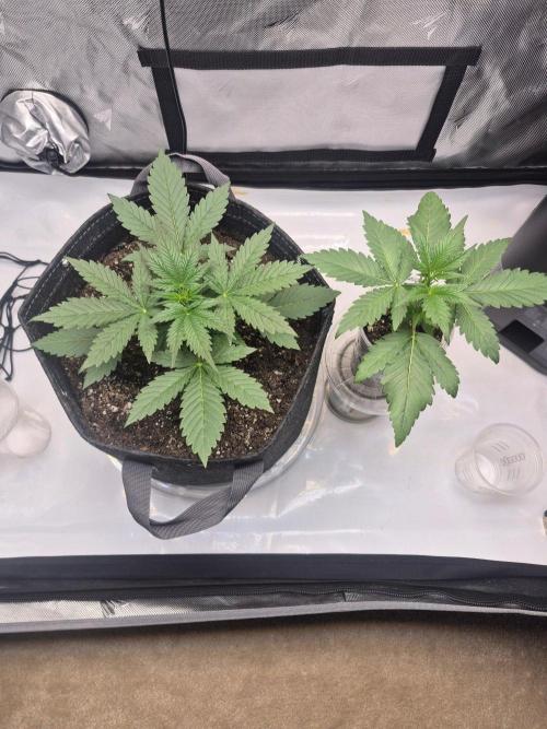 Round 3. Week 3