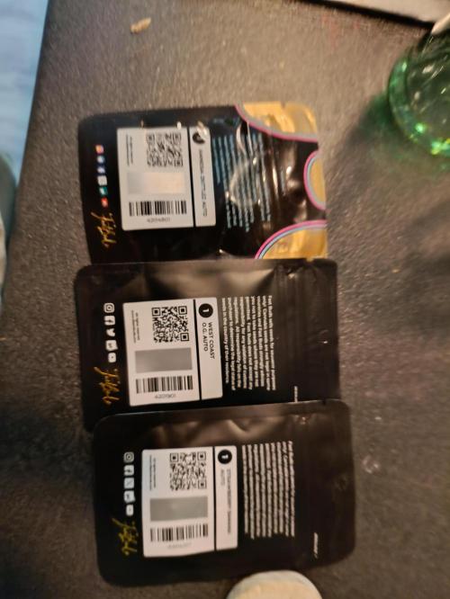 GROWBOX 1 (8.+9.+10.). Week 0