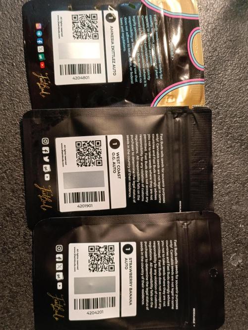 GROWBOX 1 (8.+9.+10.). Week 0