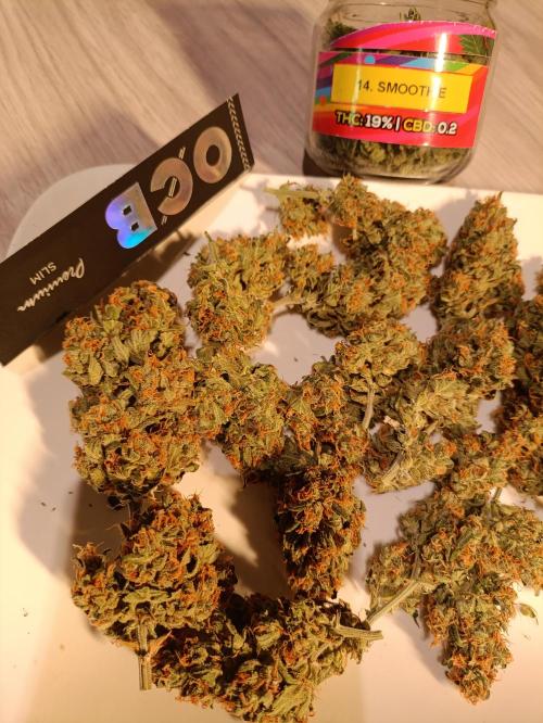 GROWBOX 3 (14.+15.+16.). Week 1