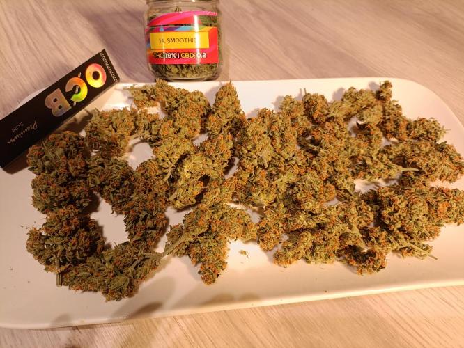GROWBOX 3 (14.+15.+16.). Week 1