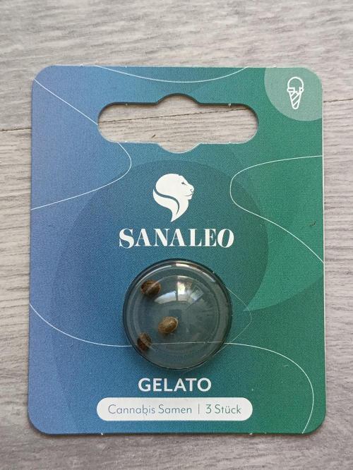 GROWBOX 4 (17.+18.+19.+20.+21.). Week 0