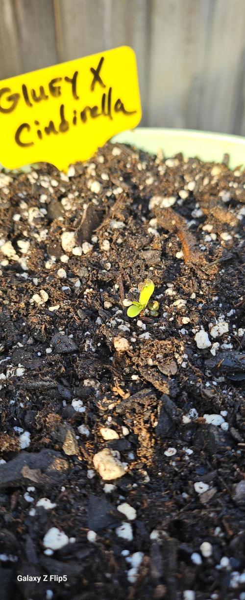 Outdoor photos part 2 continue. Week 0
