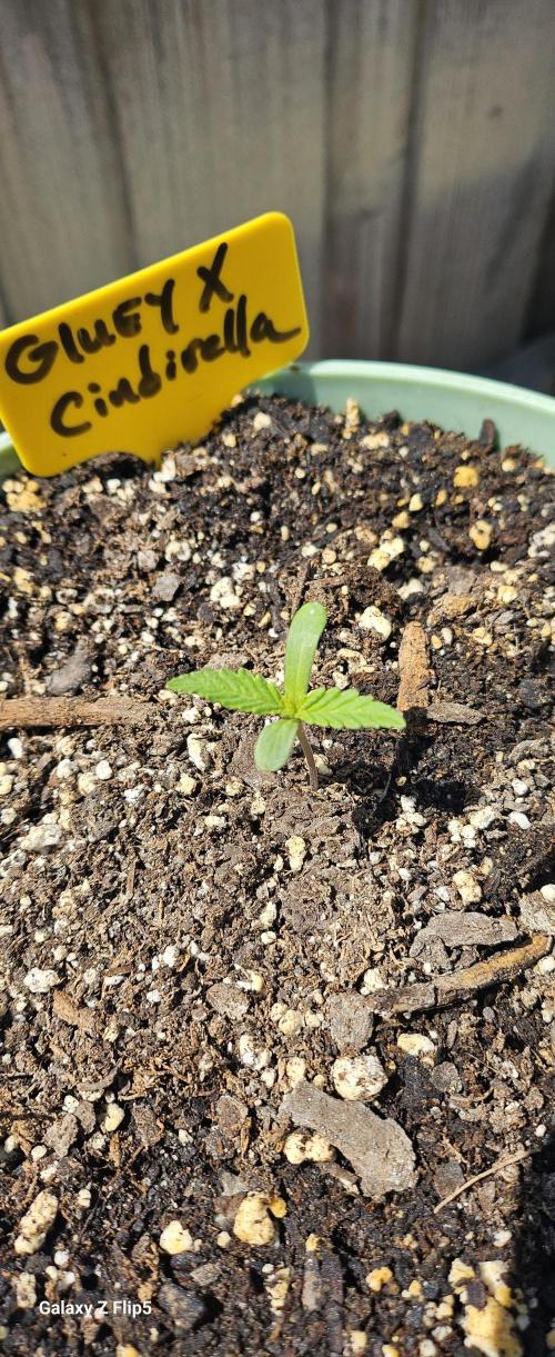 Outdoor photos part 2 continue. Week 0