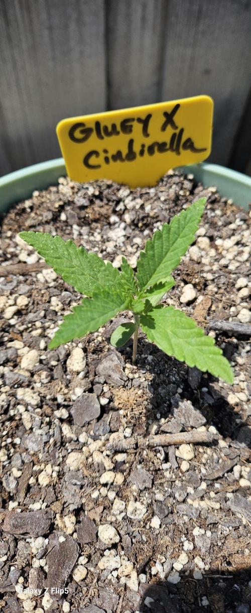 Outdoor photos part 2 continue. Week 0