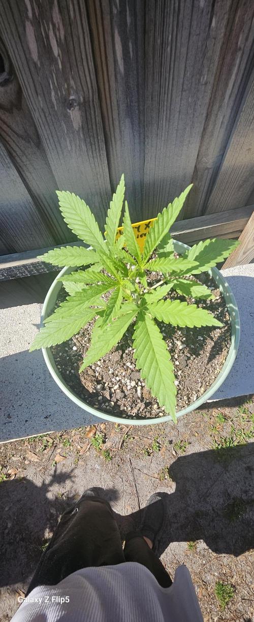 Outdoor photos part 2 continue. Week 2