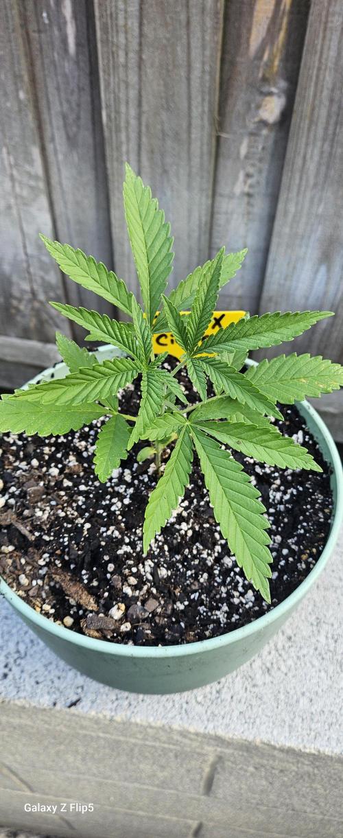 Outdoor photos part 2 continue. Week 2