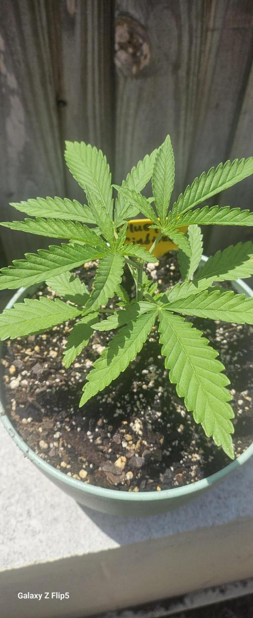 Outdoor photos part 2 continue. Week 2