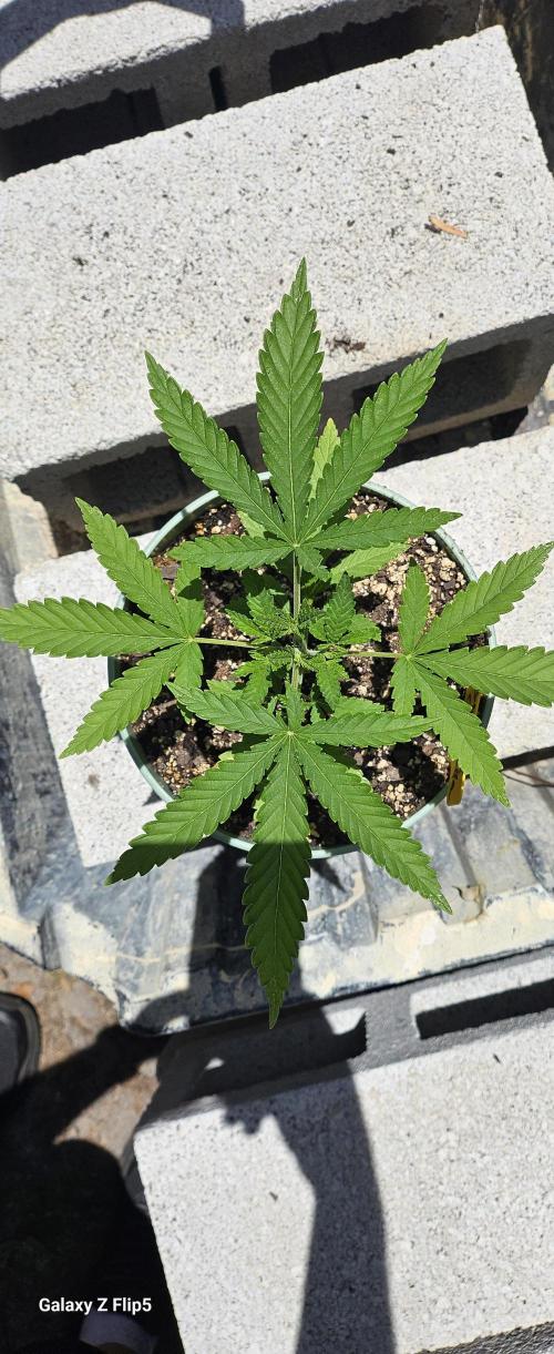 Outdoor photos part 2 continue. Week 2