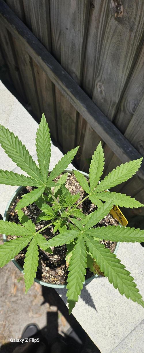 Outdoor photos part 2 continue. Week 2