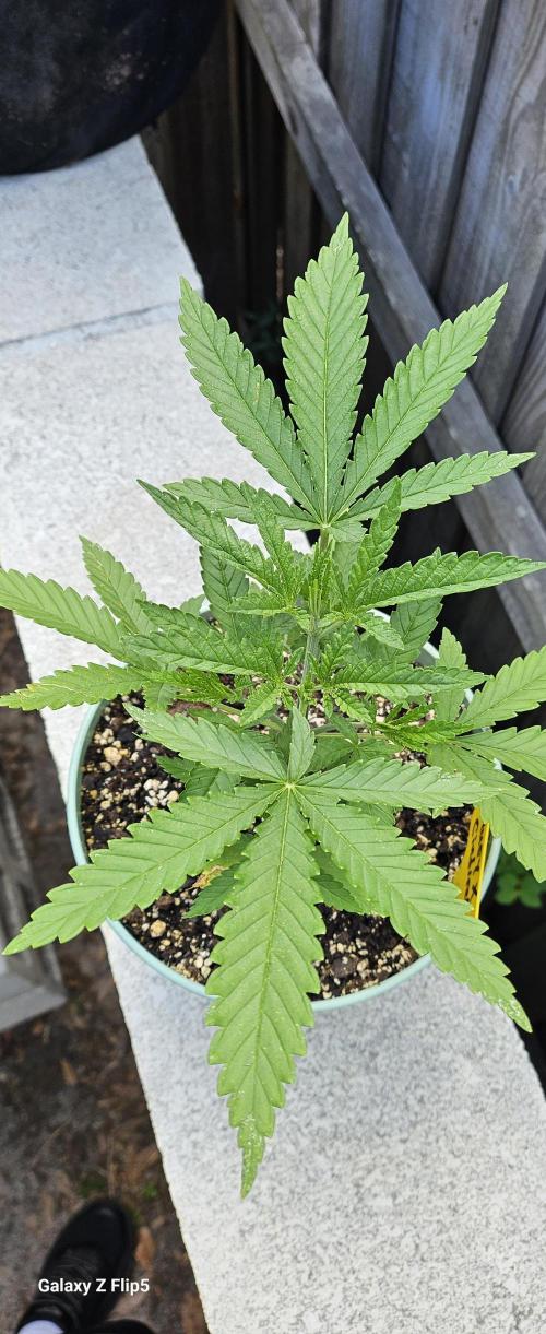 Outdoor photos part 2 continue. Week 3