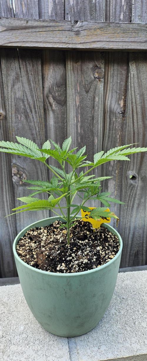 Outdoor photos part 2 continue. Week 3