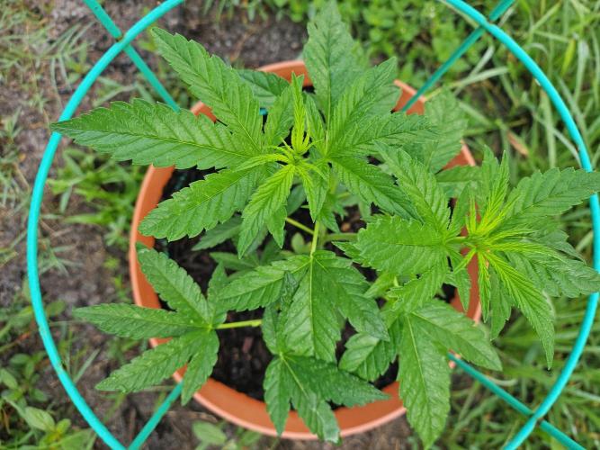 Outdoor 2025. Week 0