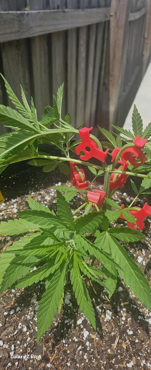 Outdoor photos part 2 continue. Week 4