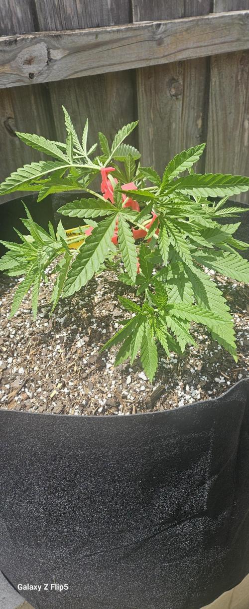 Outdoor photos part 2 continue. Week 4