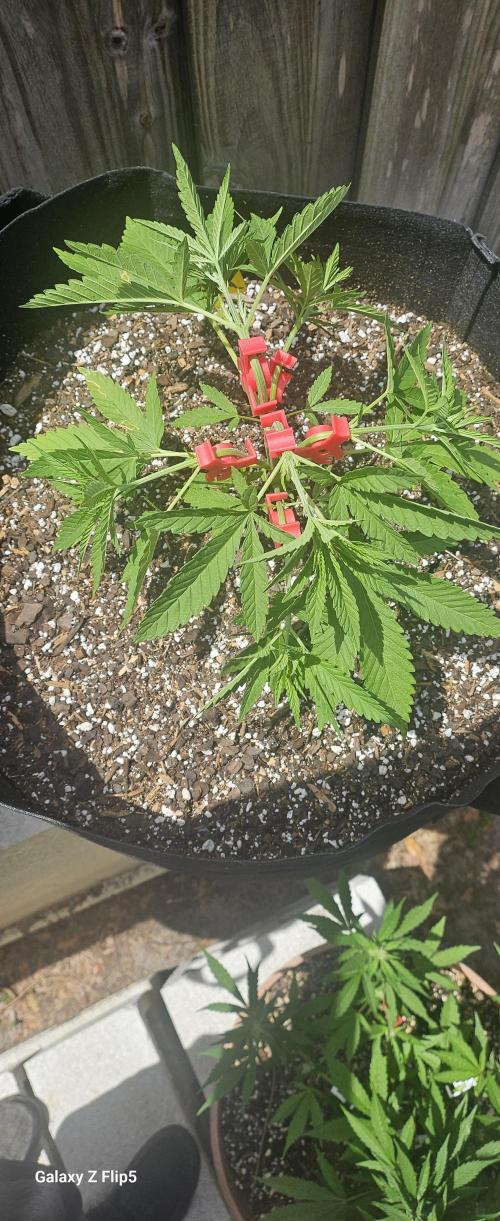 Outdoor photos part 2 continue. Week 4