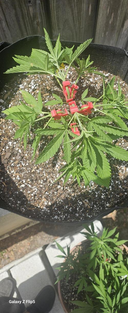 Outdoor photos part 2 continue. Week 4