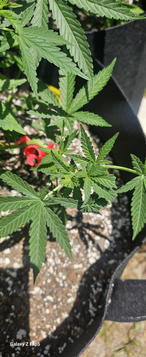 Outdoor photos part 2 continue. Week 5