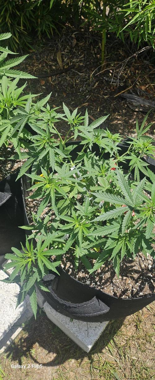 Outdoor photos part 2 continue. Week 5