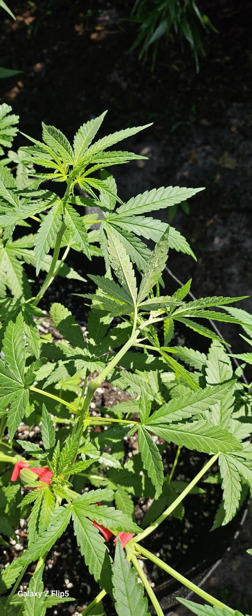 Outdoor photos part 2 continue. Week 6