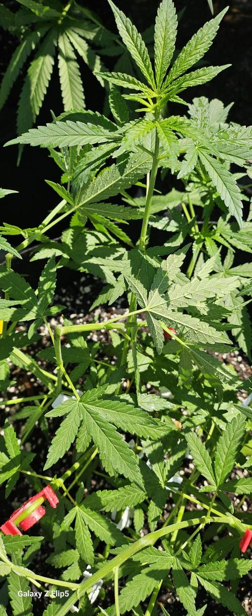 Outdoor photos part 2 continue. Week 6