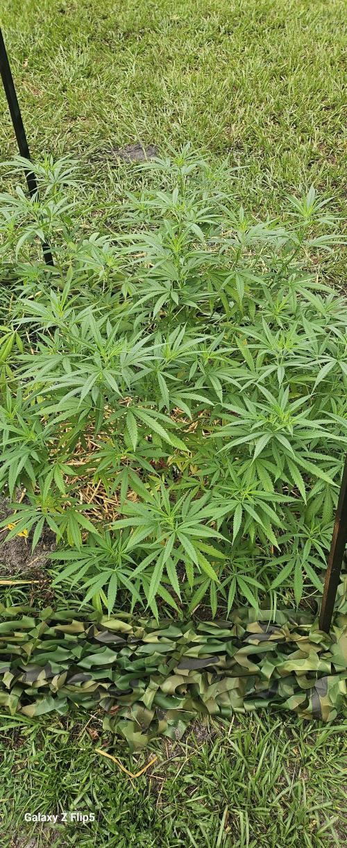 Outdoor photos part 2 continue. Week 10