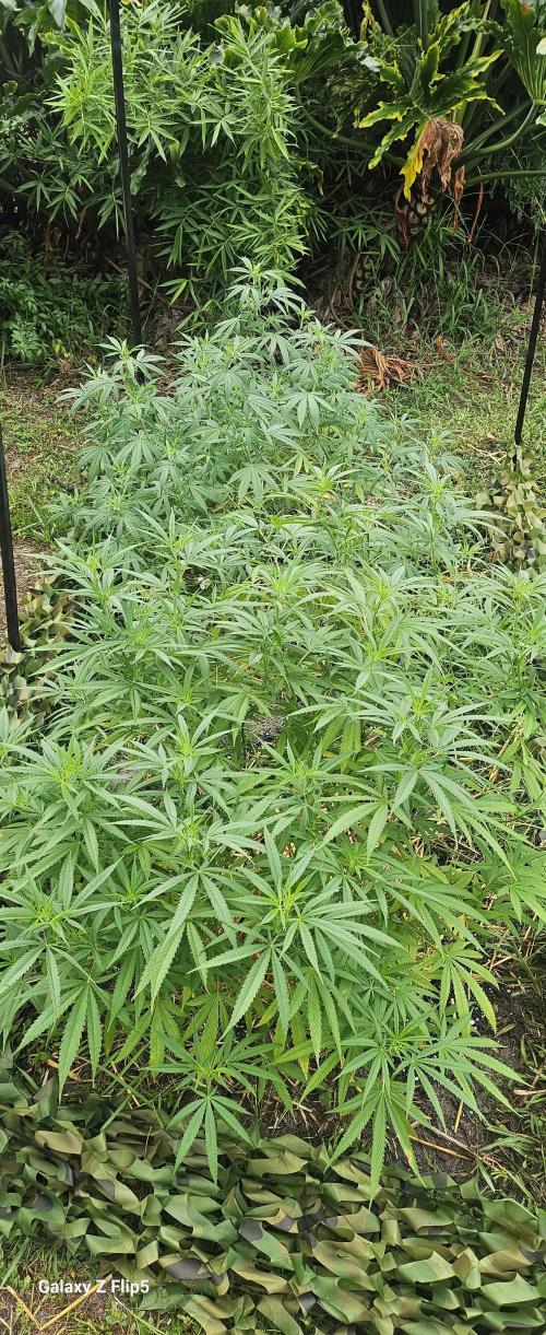 Outdoor photos part 2 continue. Week 10