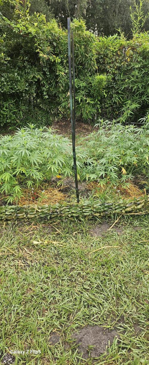 Outdoor photos part 2 continue. Week 10